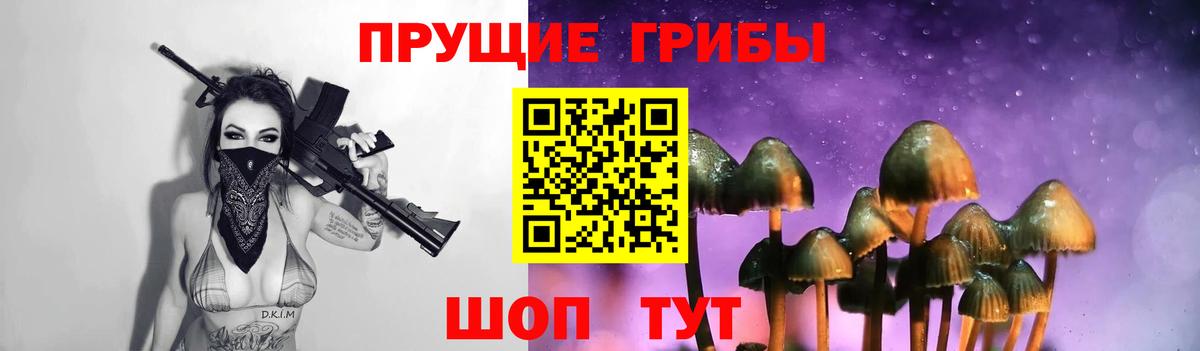 Усинск  Галлюциногенные грибы Cubensis  Вход с VPN 